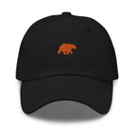 UM Bear Hat